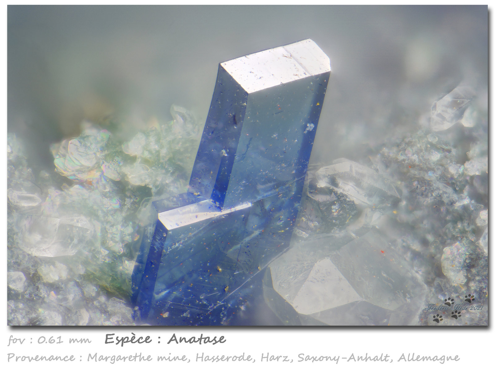 Anatase and Quartz
fov 0.61 mm
(Autor: ploum)