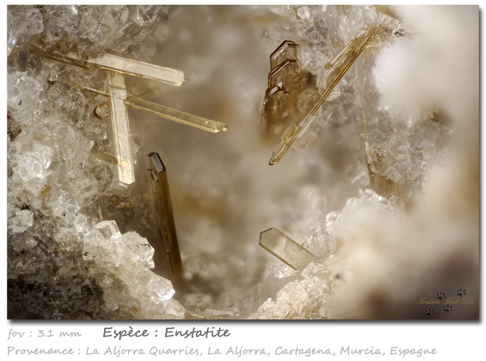 Enstatite
fov 3.1 mm
(Autor: ploum)