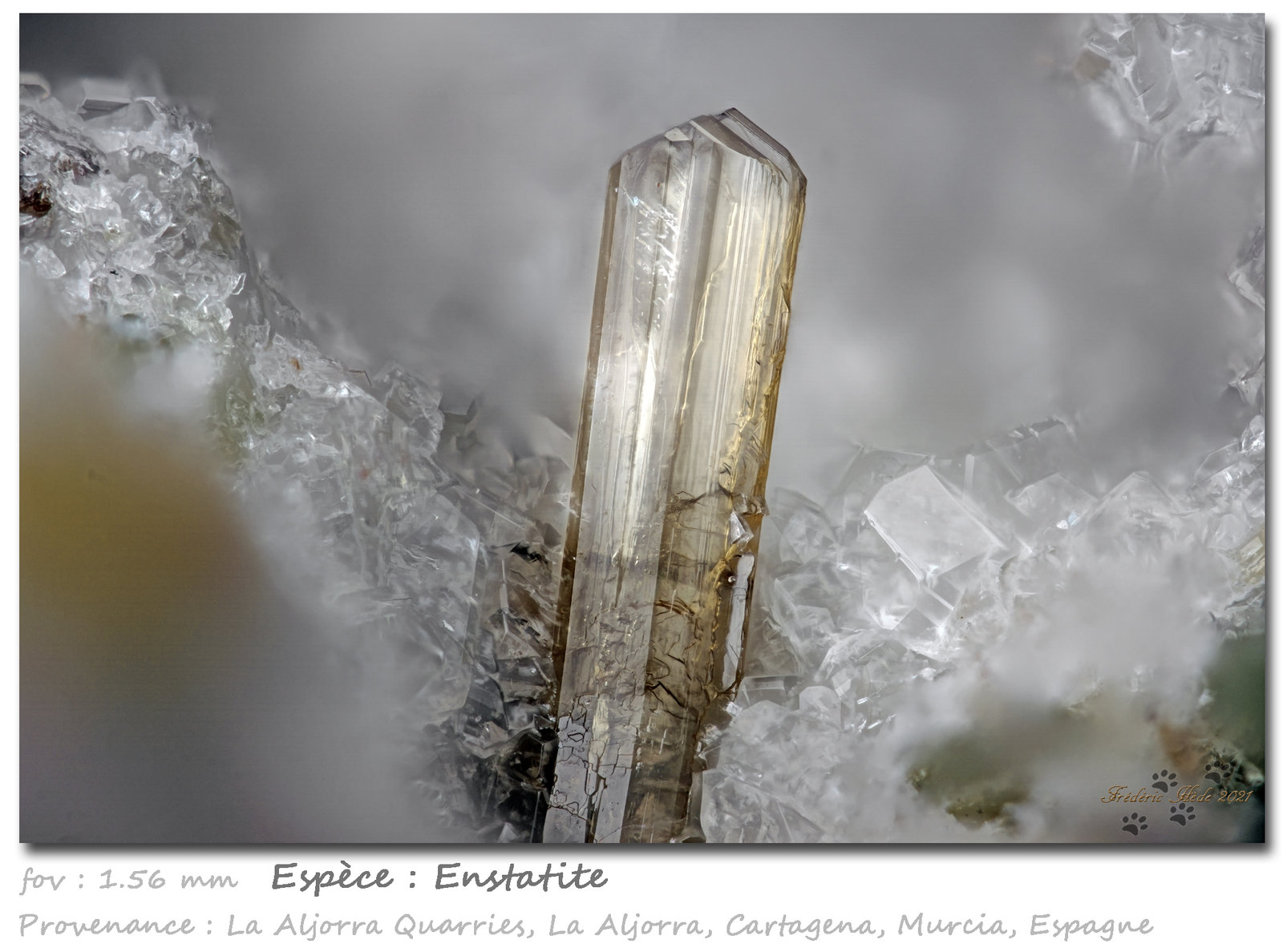Enstatite
fov 1.56 mm
(Autor: ploum)