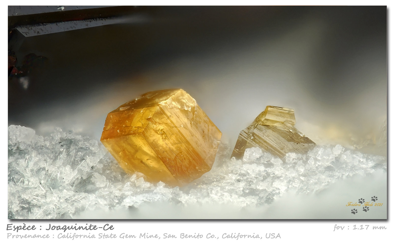 Joaquinite-(Ce)
fov 1.17 mm
(Autor: ploum)