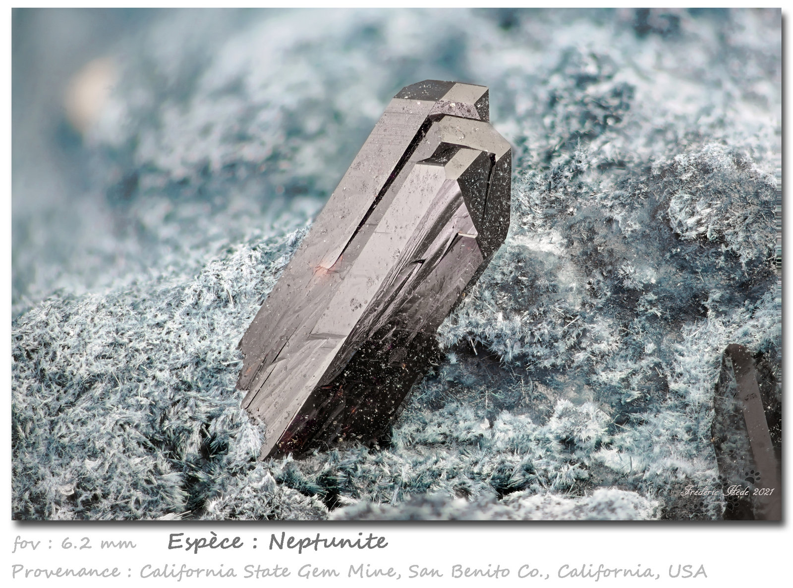 Neptunite
fov 6.2 mm
(Autor: ploum)