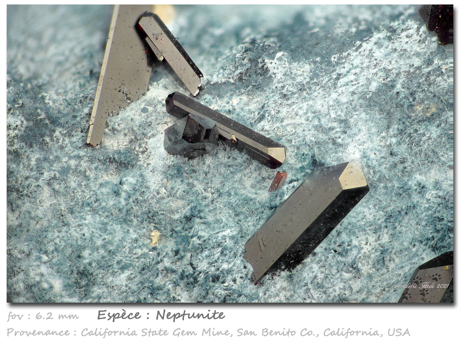 Neptunite
fov 6.2 mm
(Autor: ploum)