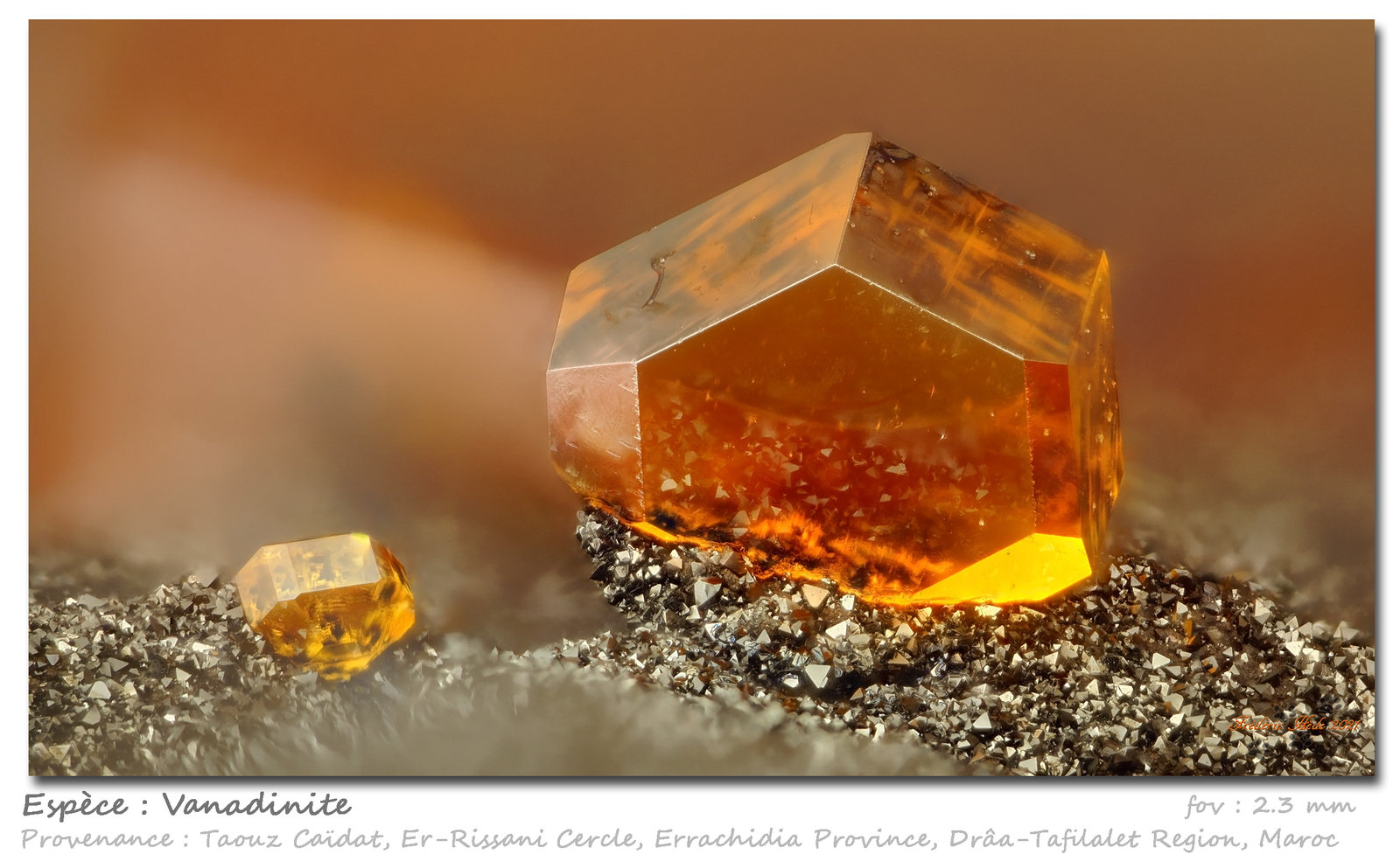 Vanadinite
fov 2.3 mm
(Autor: ploum)
