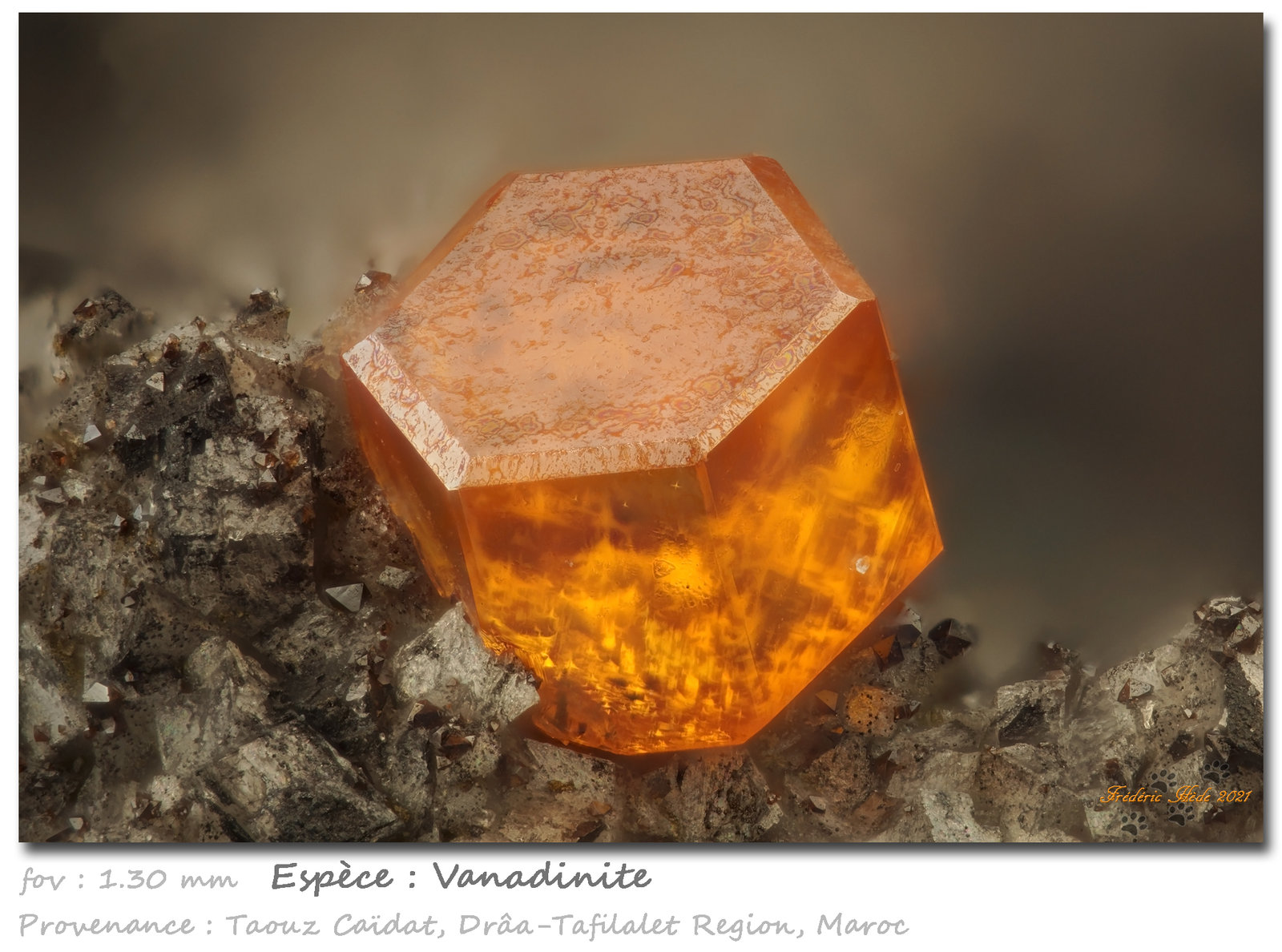 Vanadinite
fov 1.30 mm
(Autor: ploum)