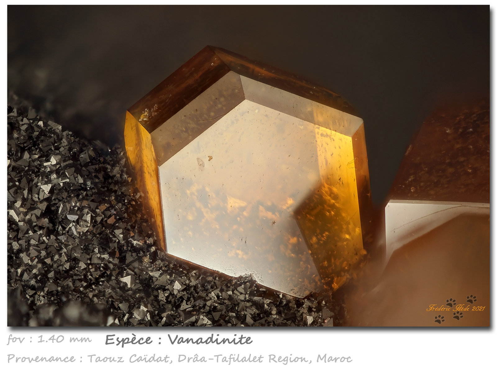 Vanadinite
fov 1.40 mm
(Autor: ploum)