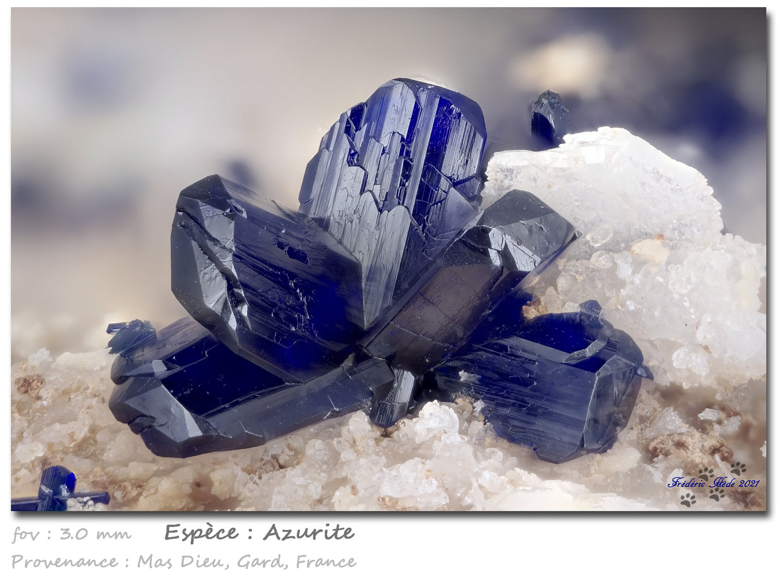 Azurite
fov 3.1 mm
(Autor: ploum)