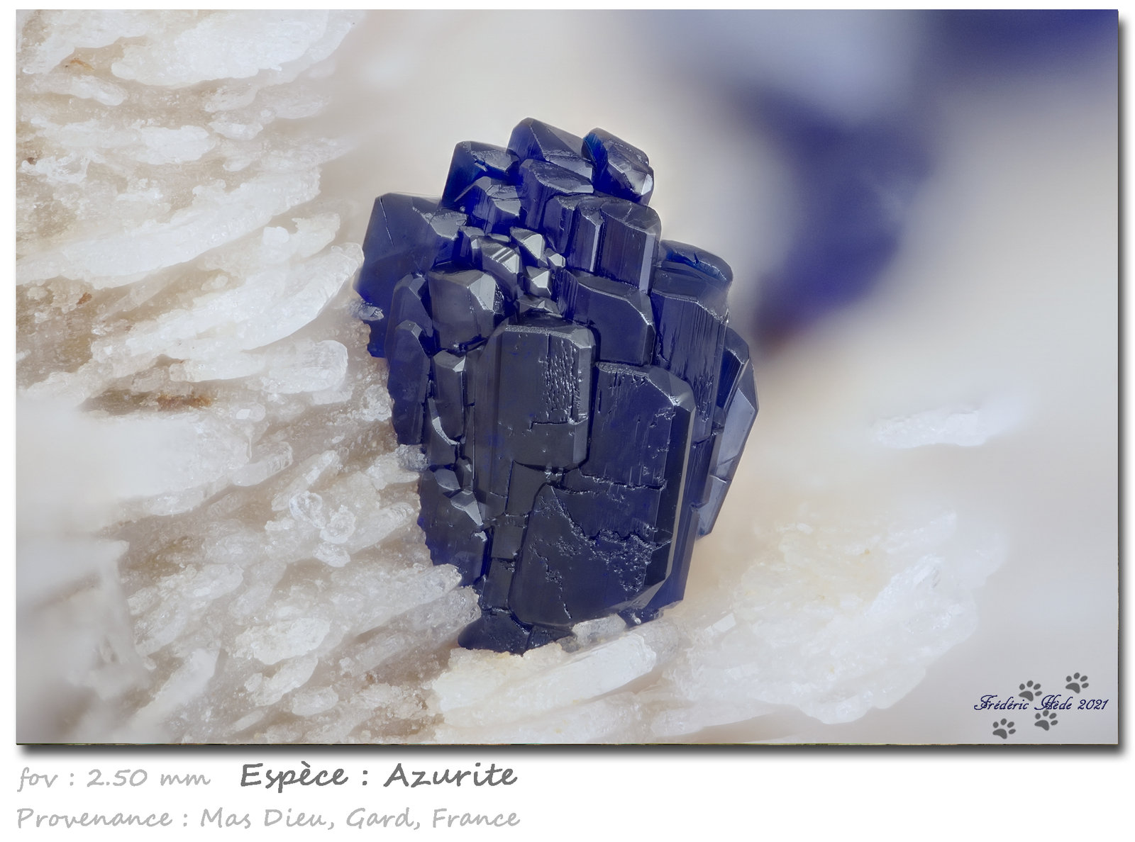 Azurite
fov 2.5 mm
(Autor: ploum)