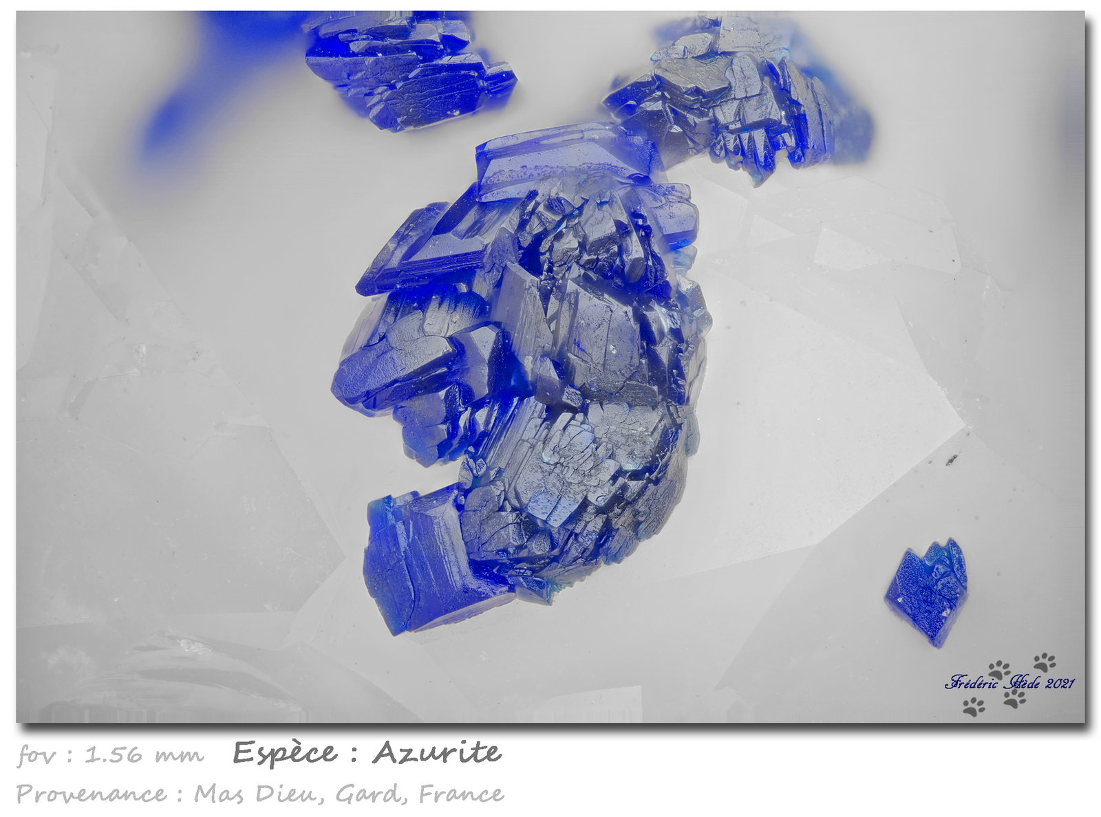 Azurite
fov 1.56 mm
(Autor: ploum)