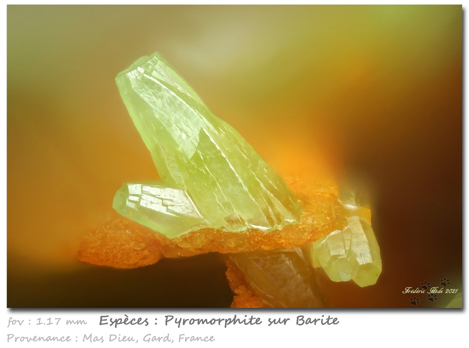 Pyromorphite
fov 1.17 mm
(Autor: ploum)