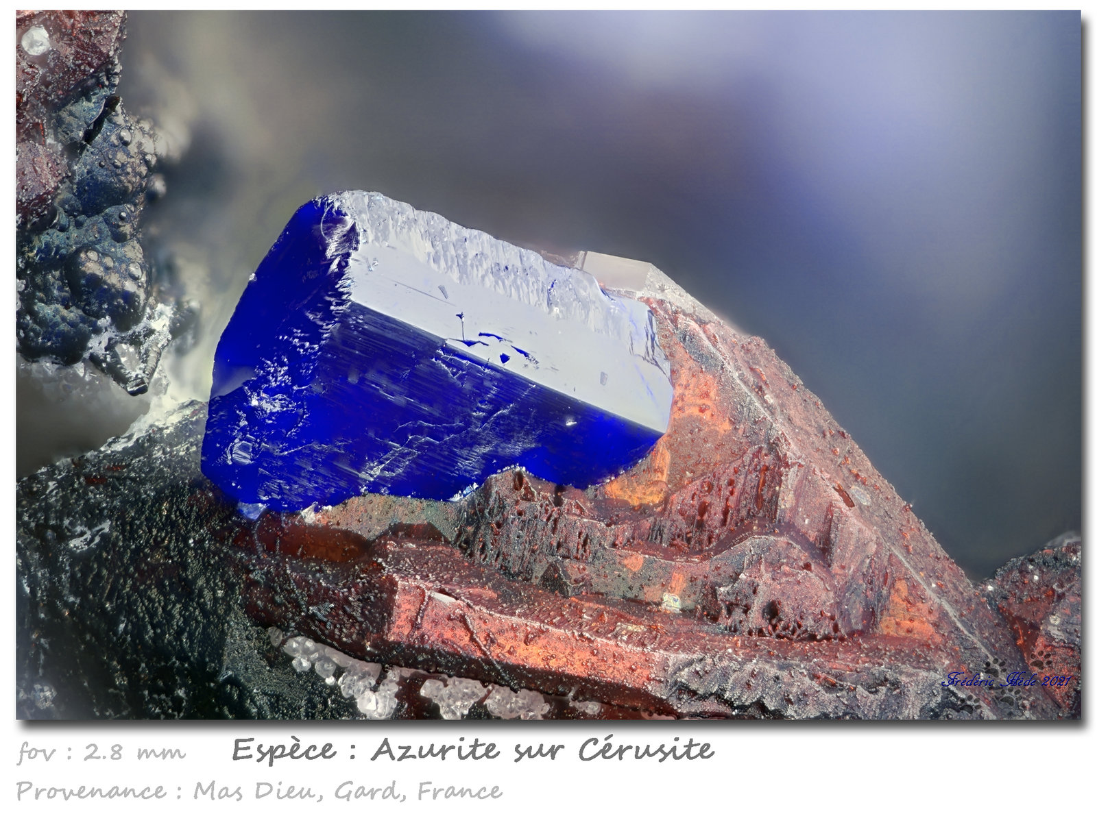 Azurite on Cerusite
fov 2.8 mm
(Autor: ploum)