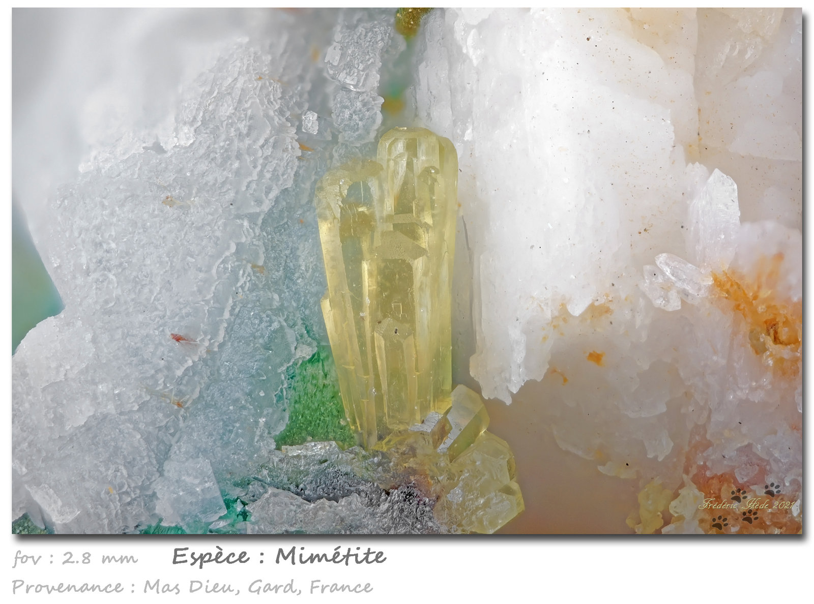 Mimetite
fov 2.8 mm
(Autor: ploum)