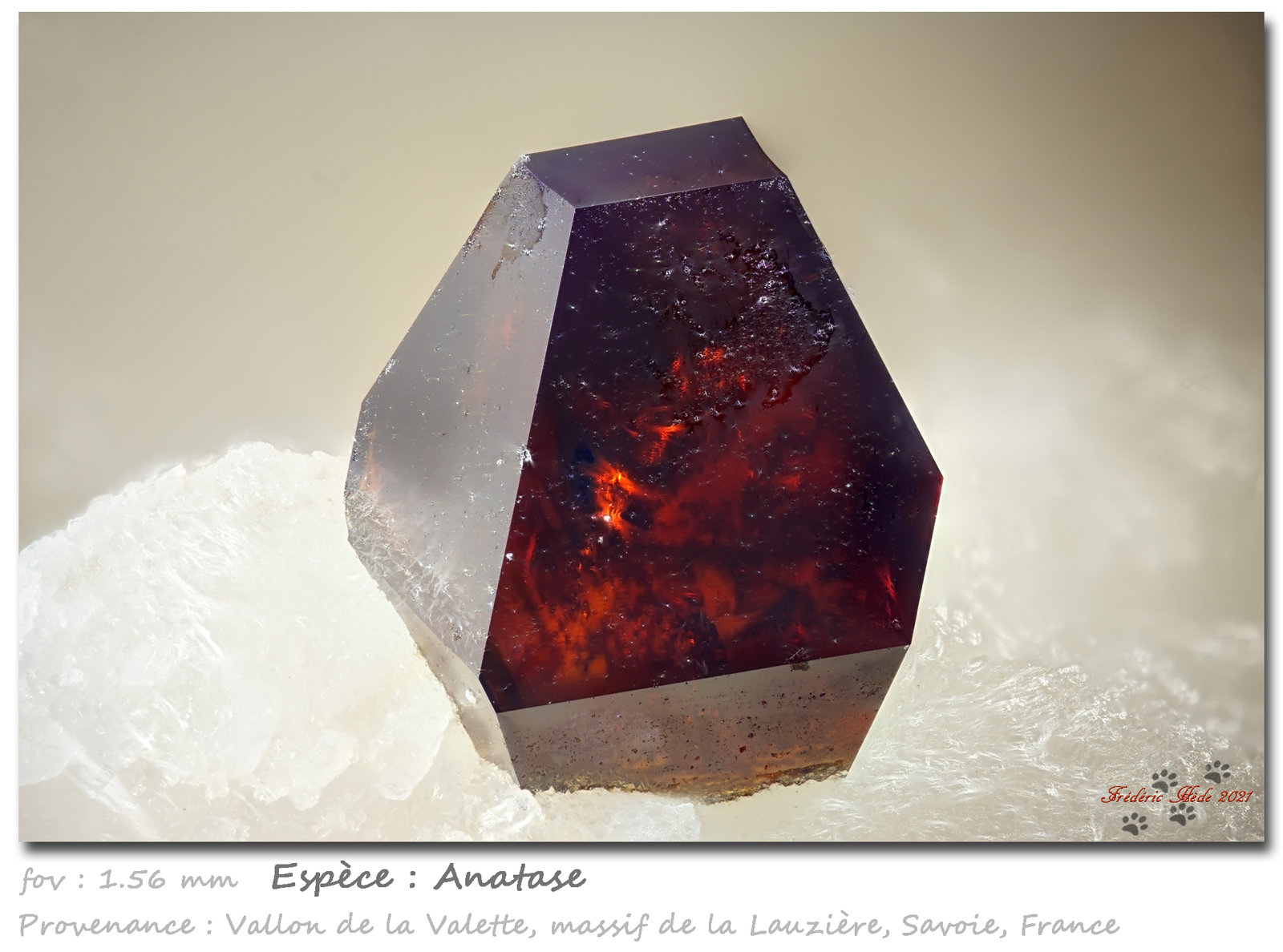 Anatase
fov 1.56 mm
(Autor: ploum)