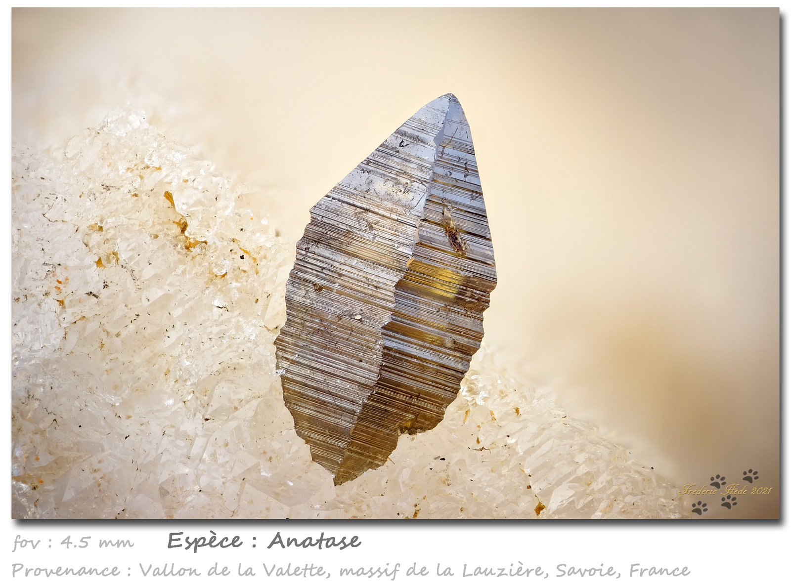 Anatase
fov 4.5 mm
(Autor: ploum)