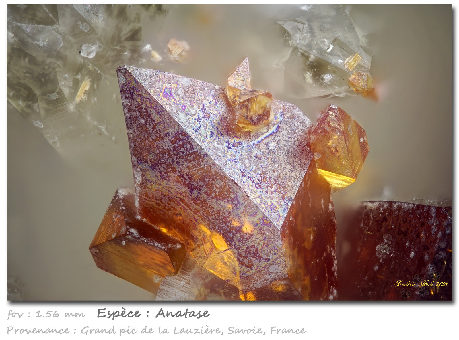 Anatase
fov 1.56 mm
(Autor: ploum)