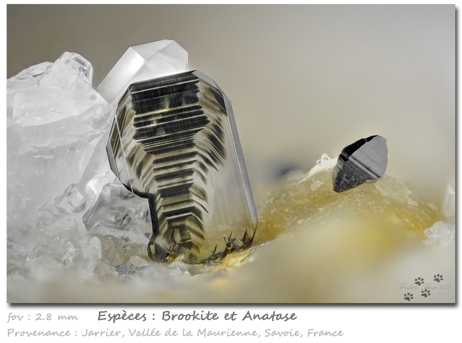 Brookite and Anatase
fov 2.8 mm
(Autor: ploum)