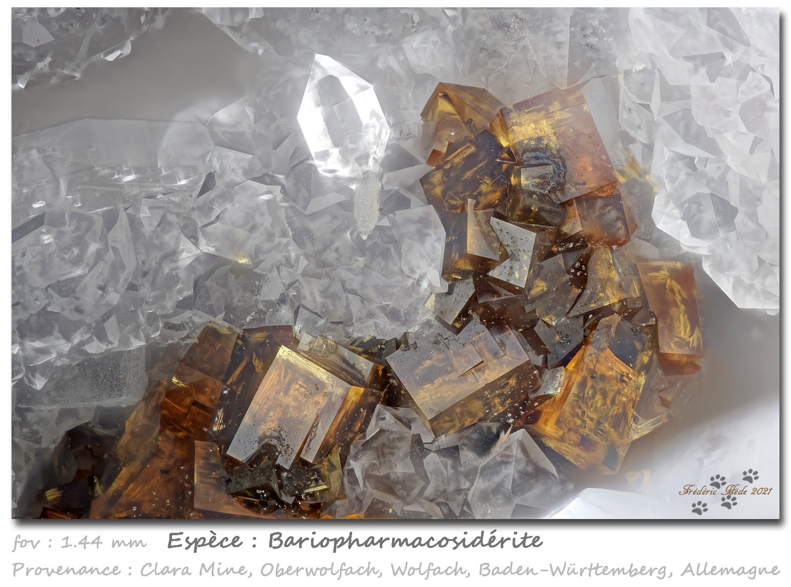 Bariopharmacosiderite
fov 1.44 mm
(Autor: ploum)