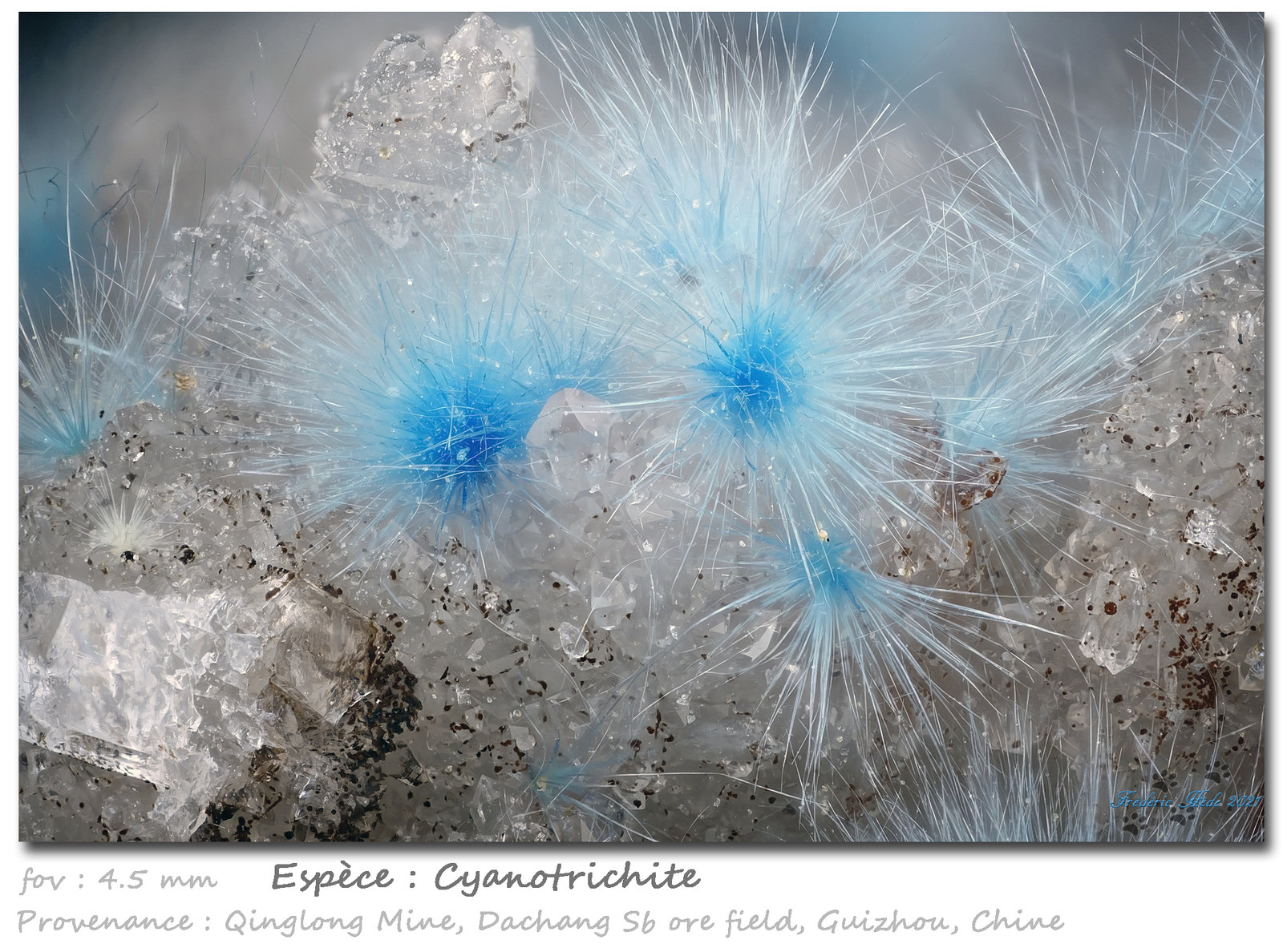 Cyanotrichite
fov 4.5 mm
(Autor: ploum)