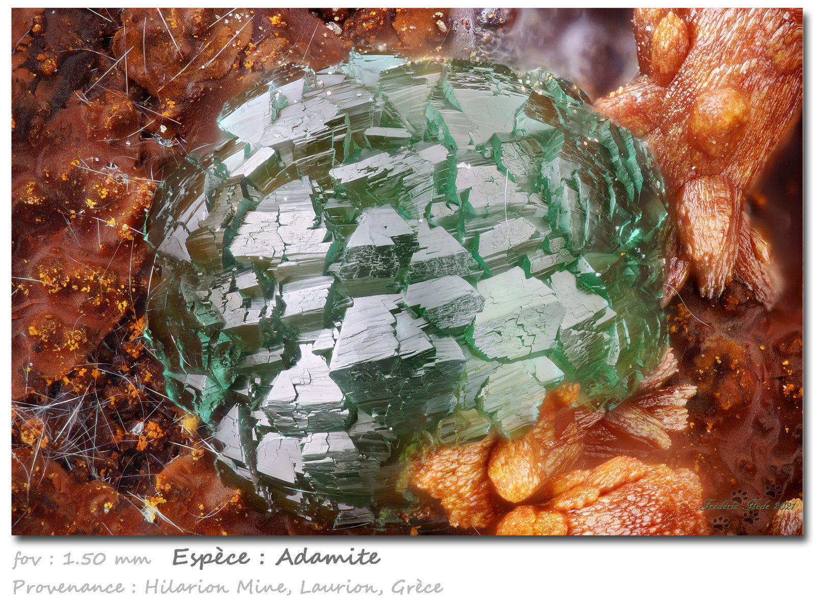 Adamite
fov 1.50 mm
(Autor: ploum)