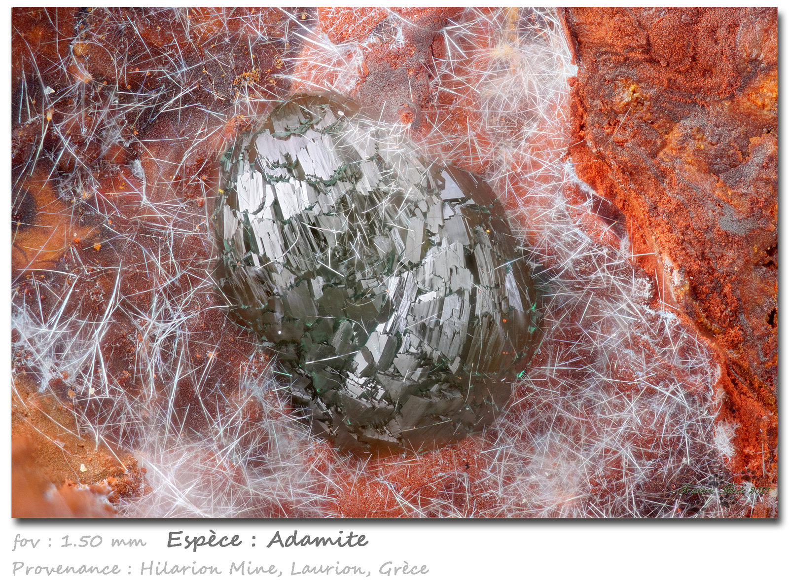 Adamite
fov 1.50 mm
(Autor: ploum)