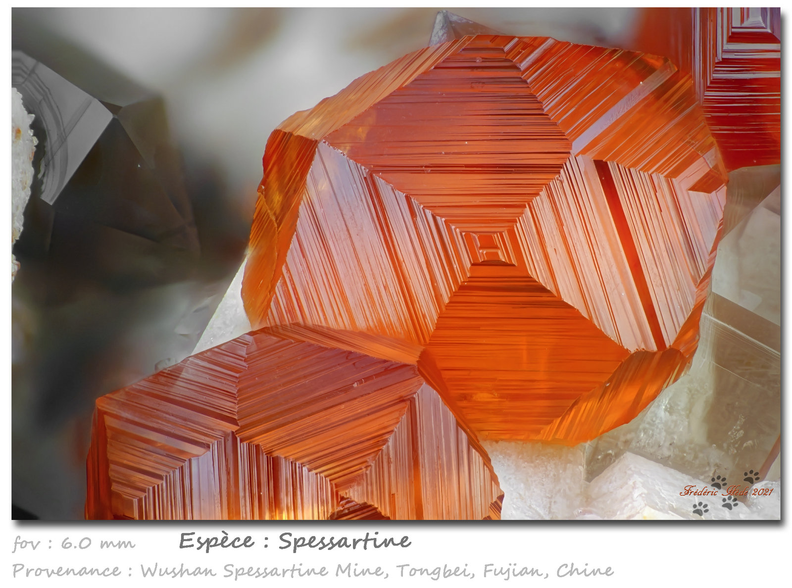 Spessartine
fov 6.0 mm
(Autor: ploum)