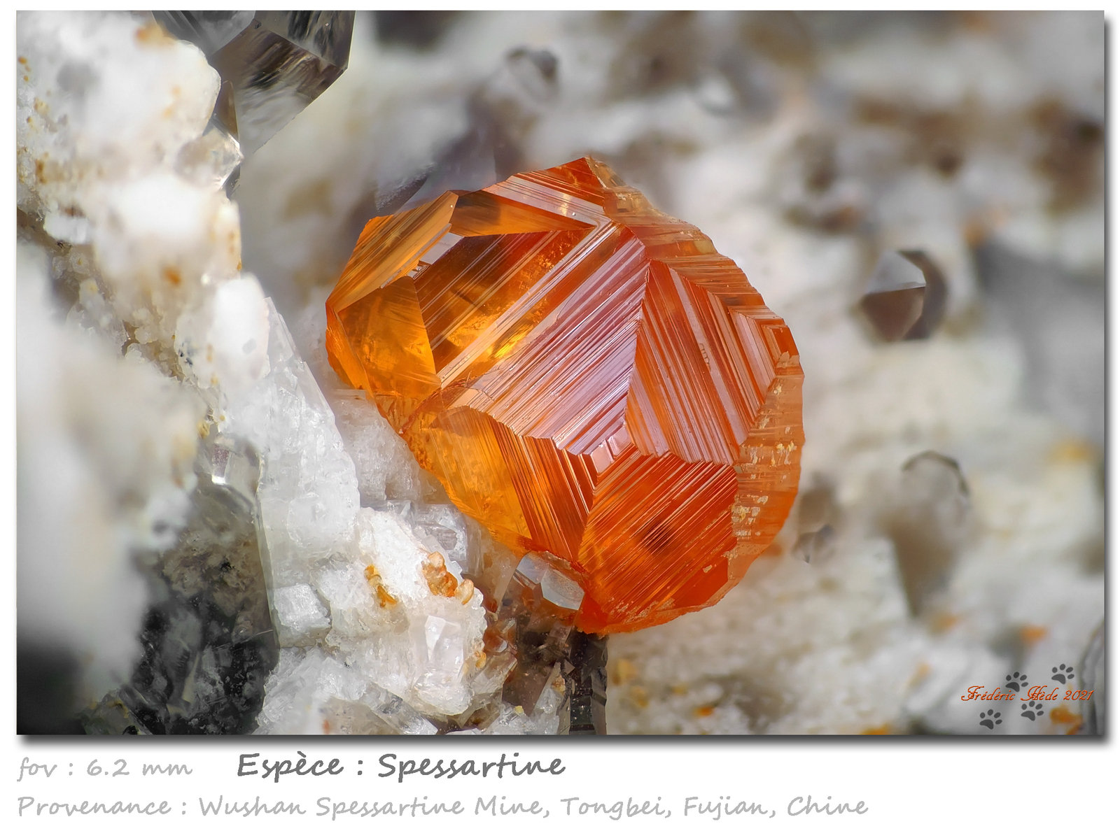 Spessartine
fov 6.2 mm
(Autor: ploum)