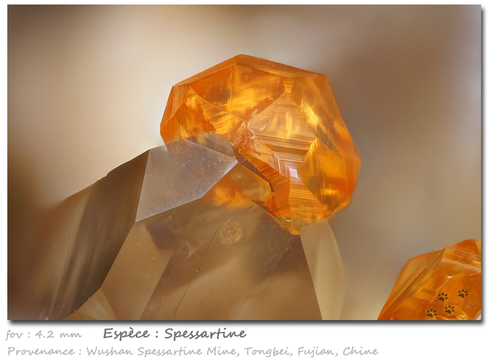 Spessartine
fov 4.2 mm
(Autor: ploum)