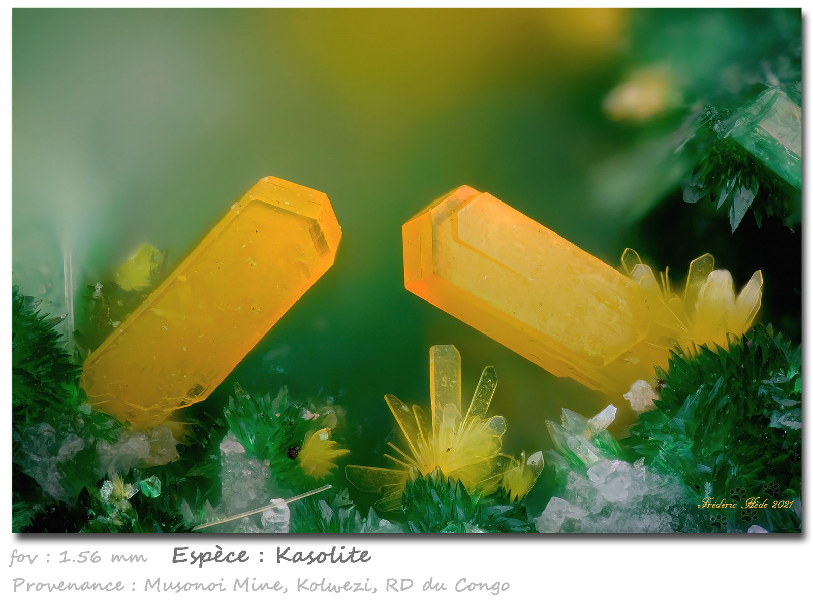 Kasolite
fov 1.56 mm
(Autor: ploum)