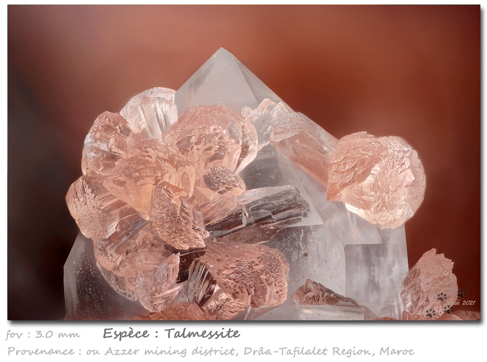 Talmessite
fov 3.0 mm
(Autor: ploum)
