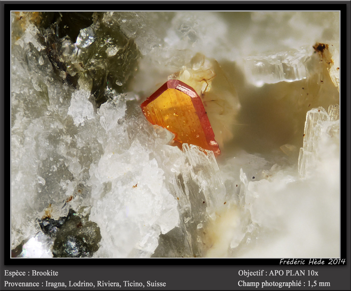 Brookite
fov 1.5 mm
(Autor: ploum)