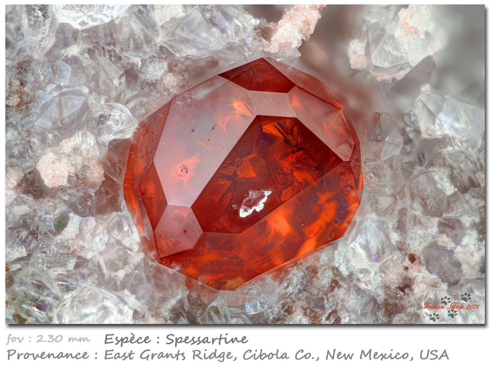 Spessartine
fov 2.30 mm
(Autor: ploum)