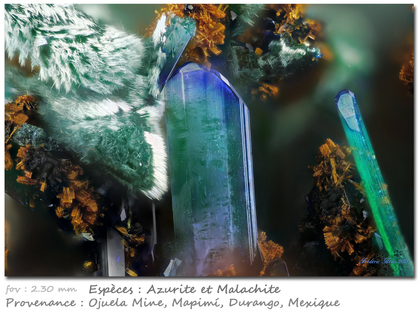 Azurite/Malachite
fov 2.30 mm
(Autor: ploum)