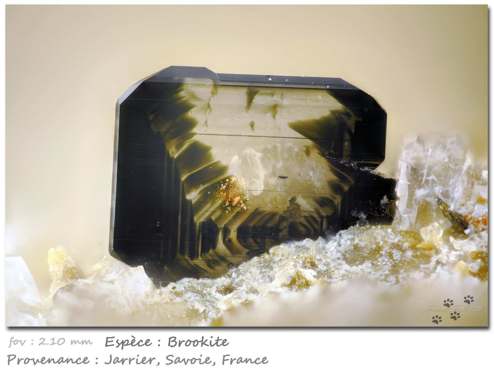 Brookite
fov 2.10 mm
(Autor: ploum)
