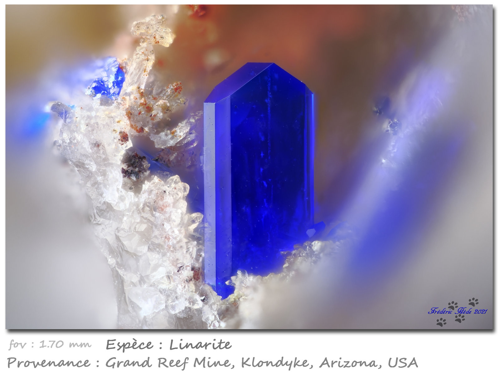 Linarite and Quartz
fov 1.70 mm
(Autor: ploum)