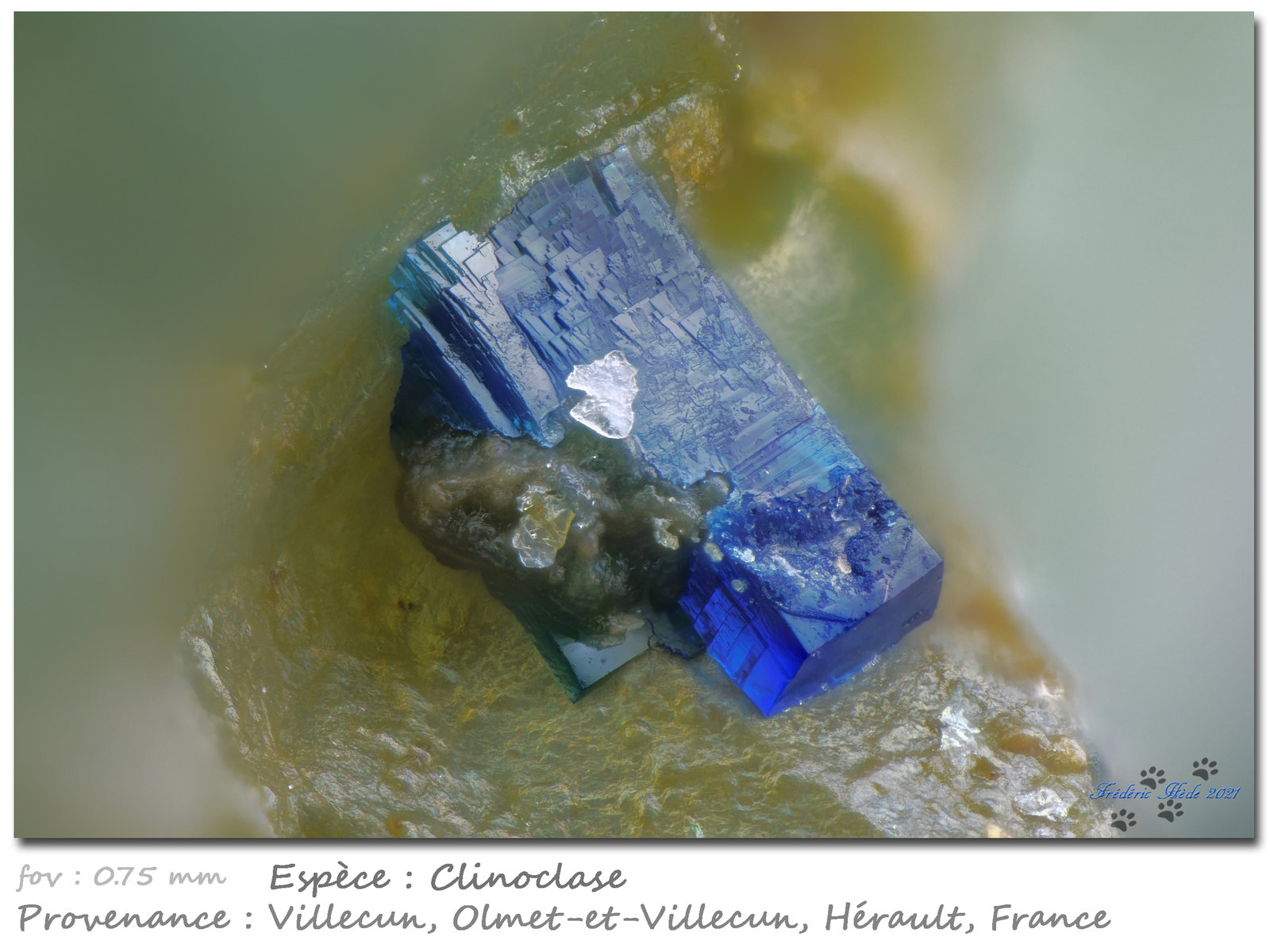 Clinoclase
fov 0.75 mm
(Autor: ploum)