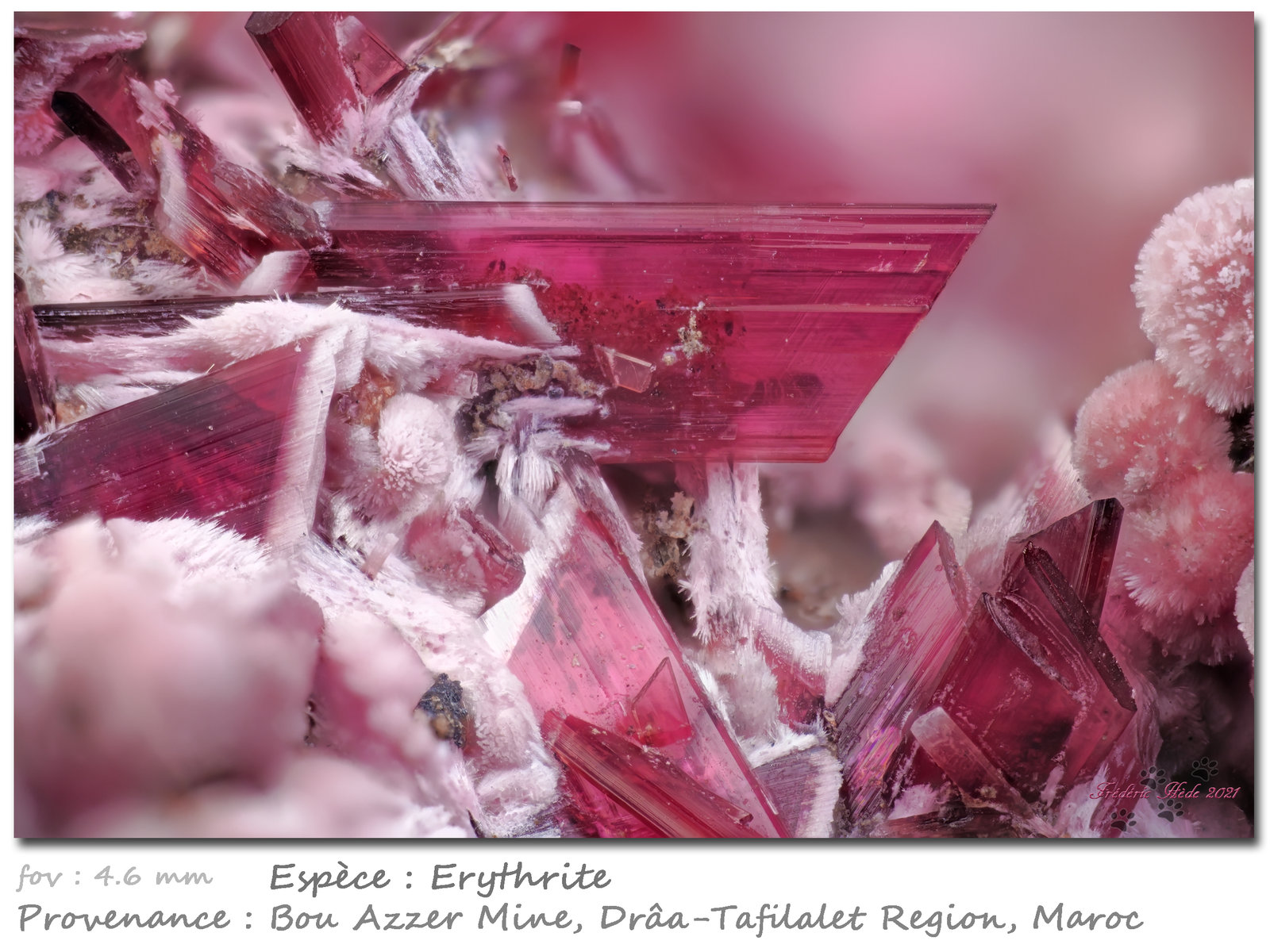 Erythrite
fov 4.6 mm
(Autor: ploum)