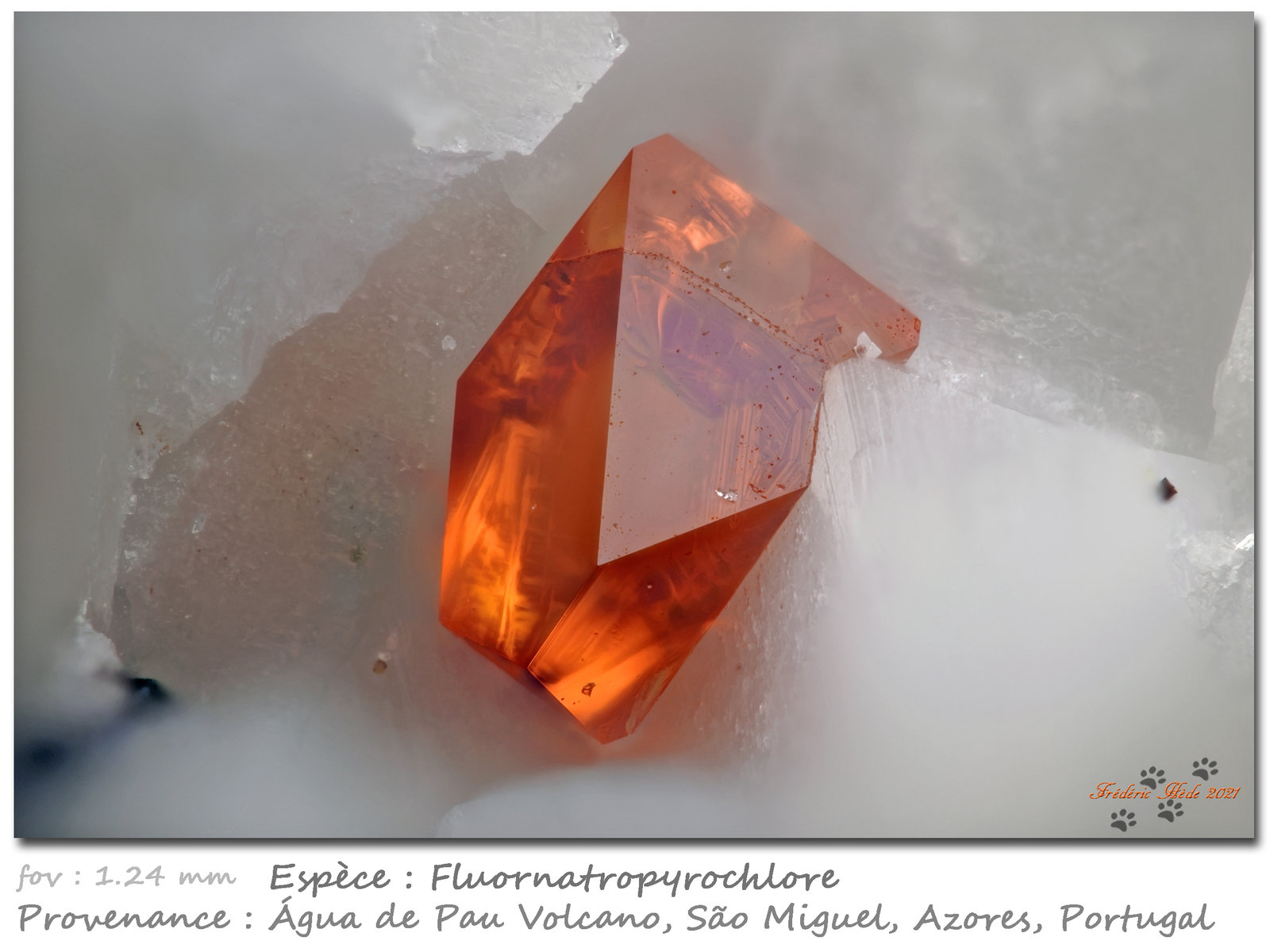 Fluornatropyrochlore
fov 1.24 mm
(Autor: ploum)