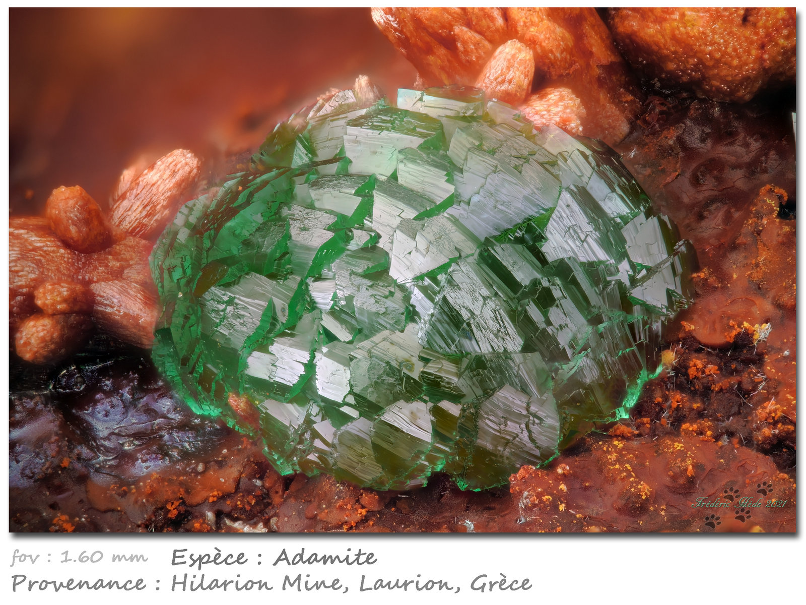 Adamite
Fov 1.60 mm
(Autor: ploum)