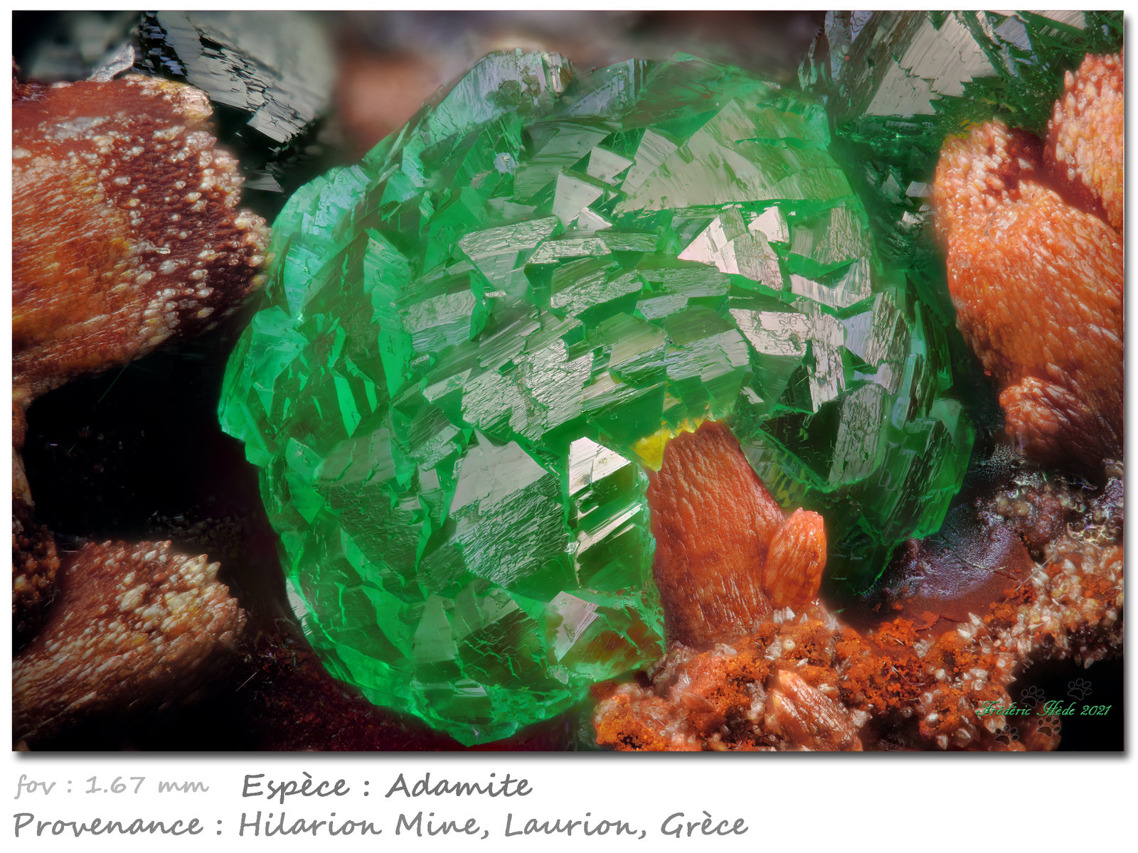 Adamite
fov 1.67 mm
(Autor: ploum)