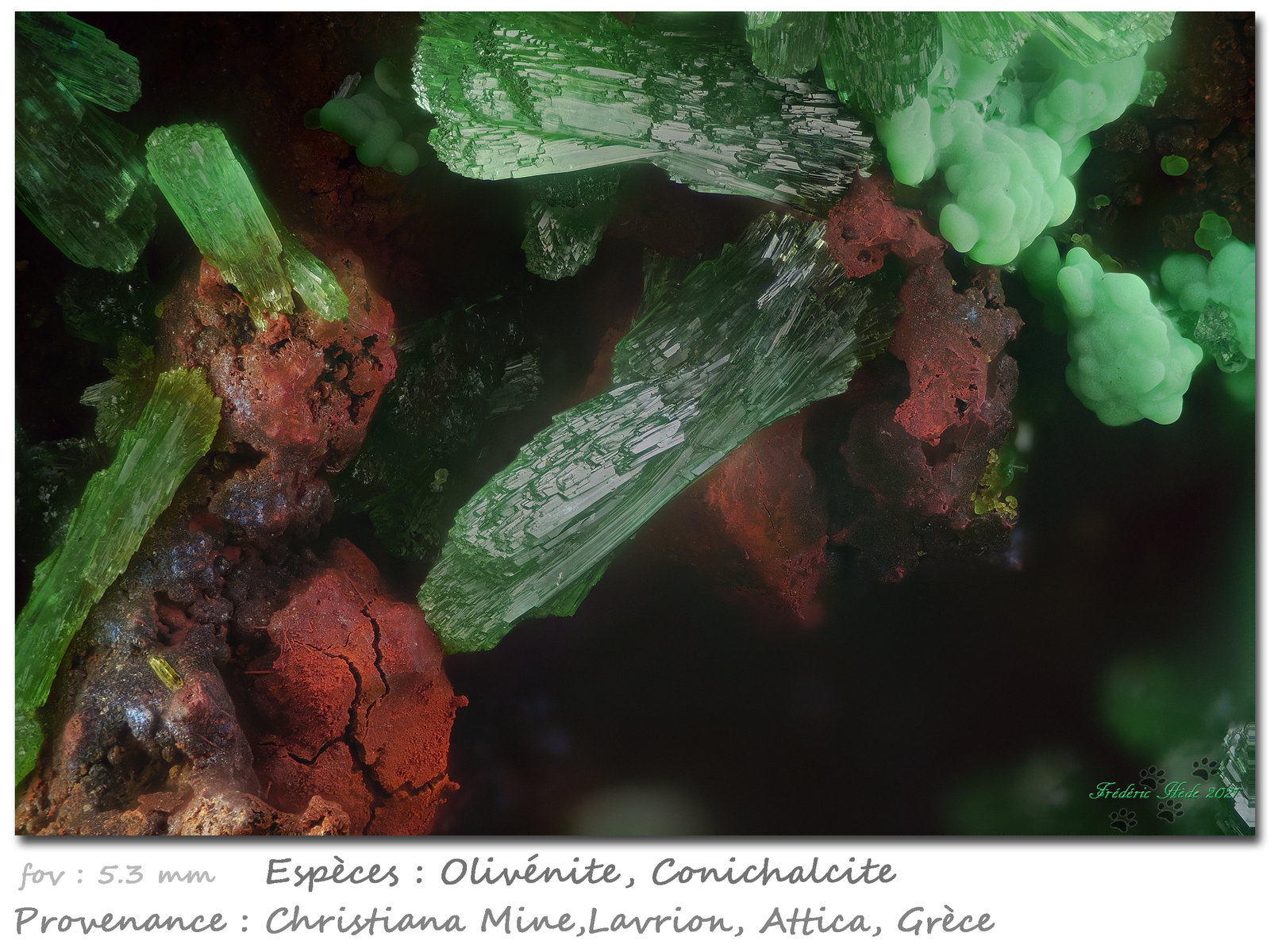 Olivenite and Conichalcite
fov 5.3 mm
(Autor: ploum)