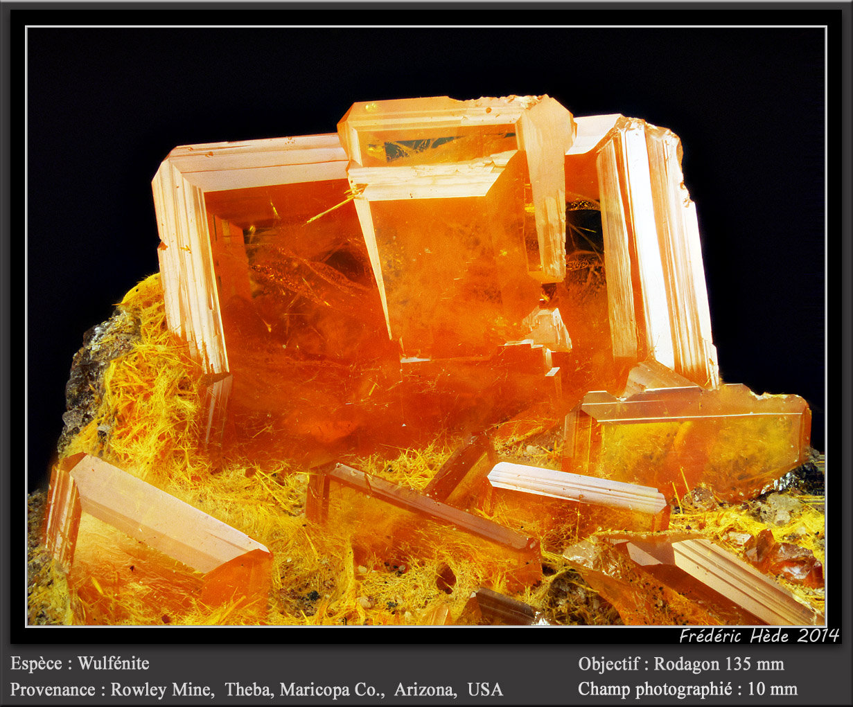 Wulfenite
fov 10 mm
(Autor: ploum)
