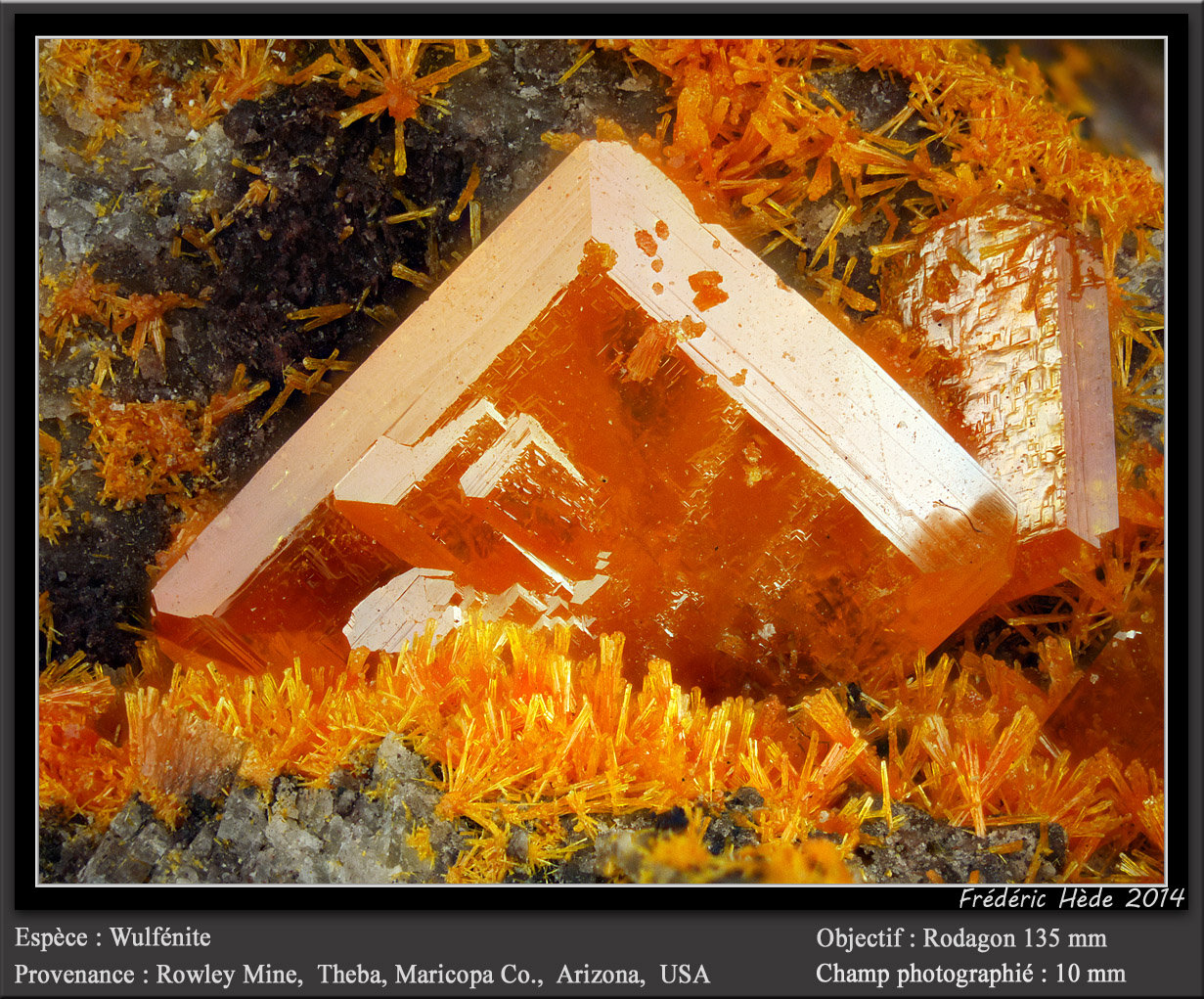 Wulfenite
fov 10 mm
(Autor: ploum)