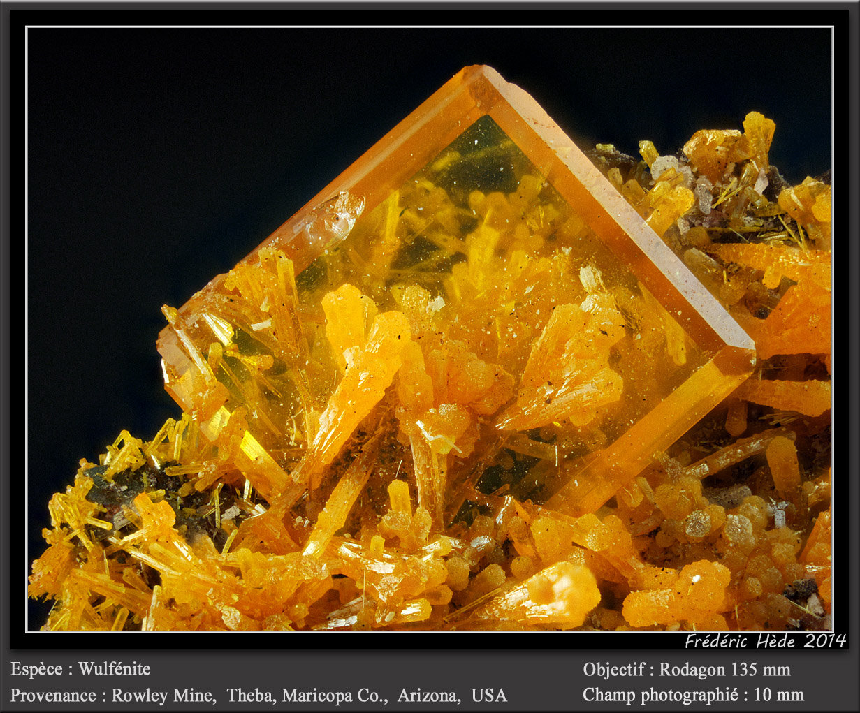 Wulfenite
(Autor: ploum)