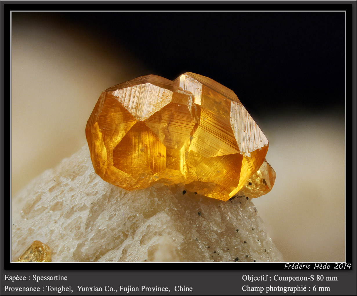Spessartine
fov 6 mm
(Autor: ploum)