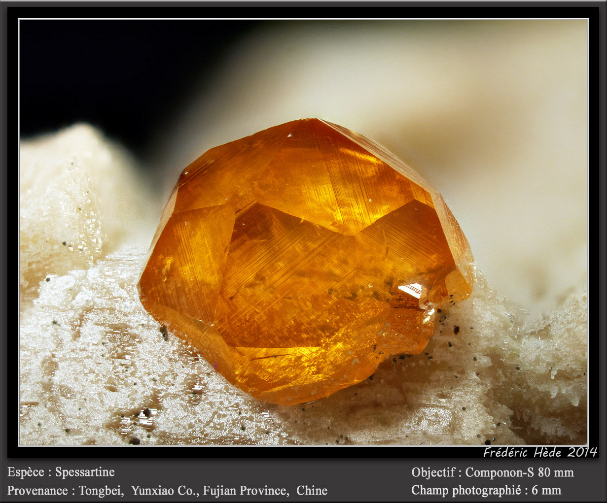 Spessartine
fov 6 mm
(Autor: ploum)