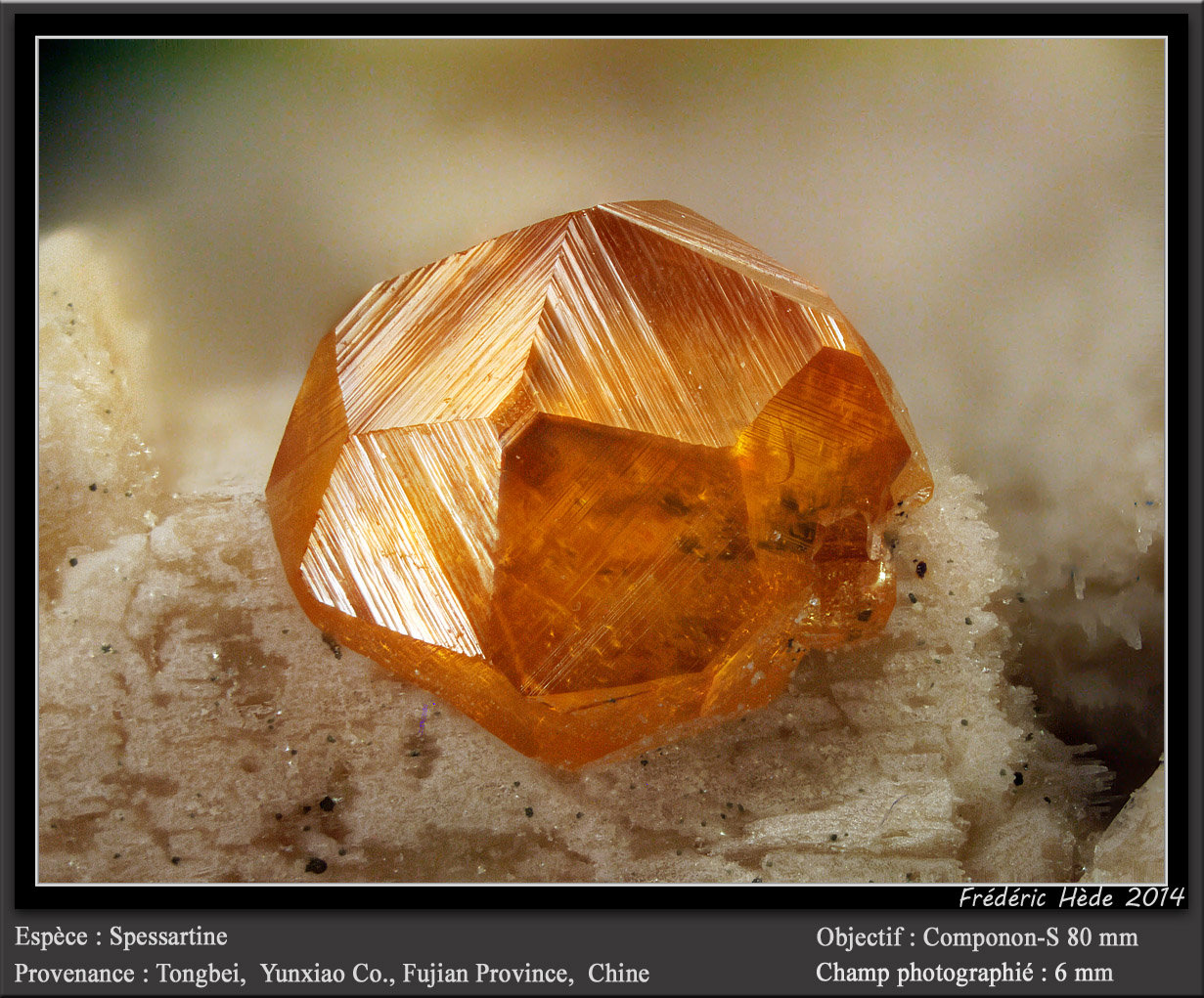 Spessartine
fov 6 mm
(Autor: ploum)