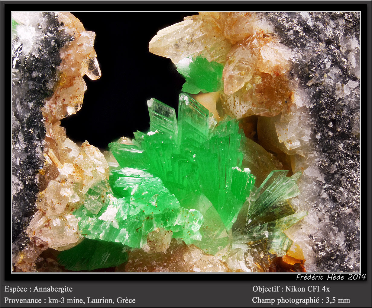Annabergite
3.5 mm
(Autor: ploum)