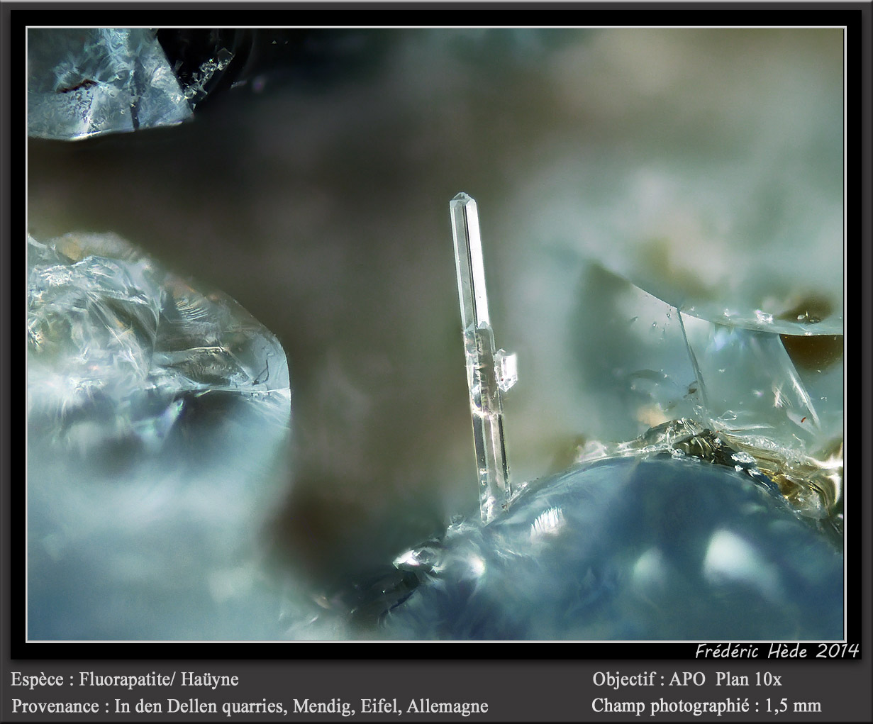 Fluorapatite (Apatite Group) and Haüyne
fov 1.5 mm
(Autor: ploum)