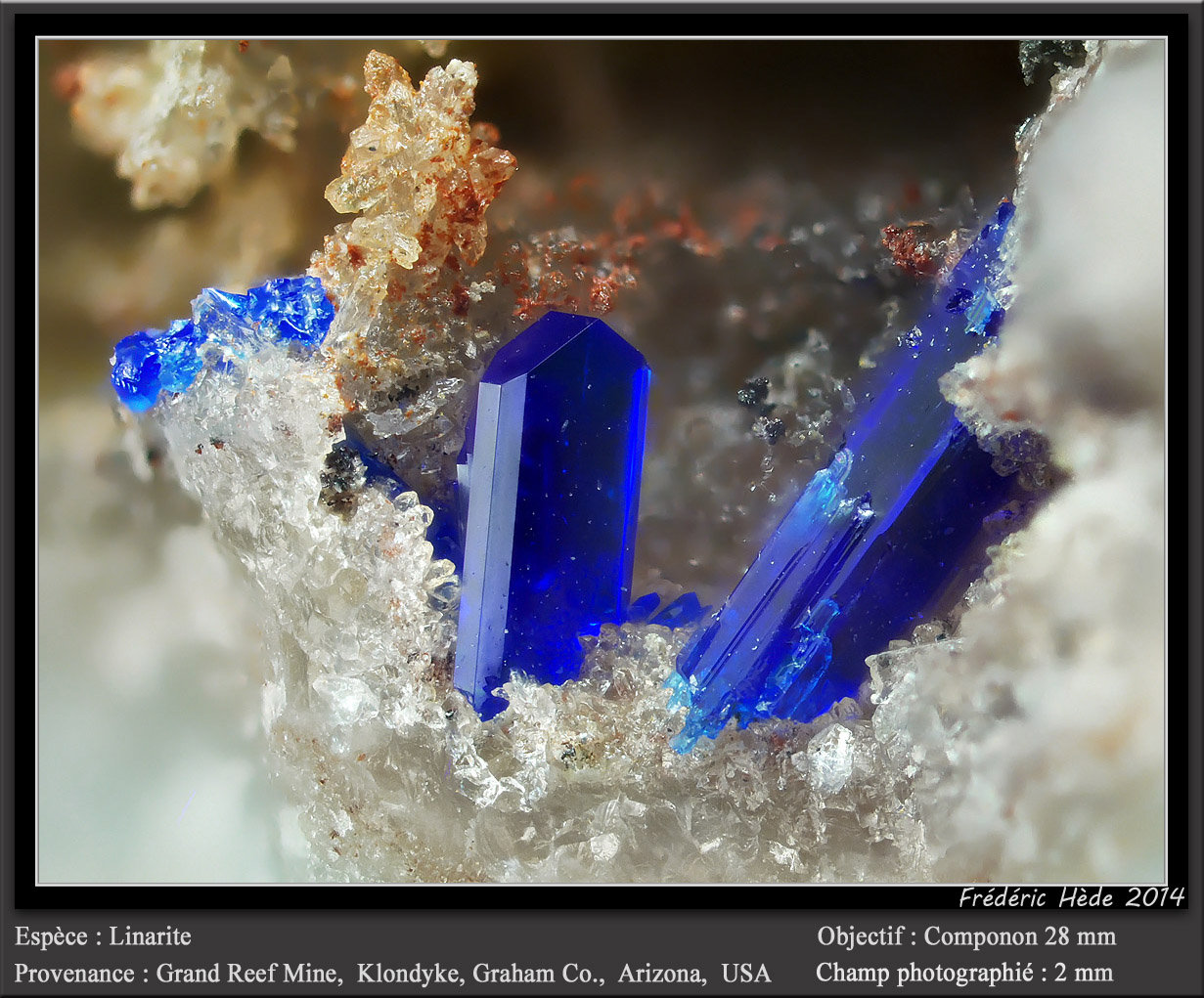Linarite
fov 2 mm
(Autor: ploum)