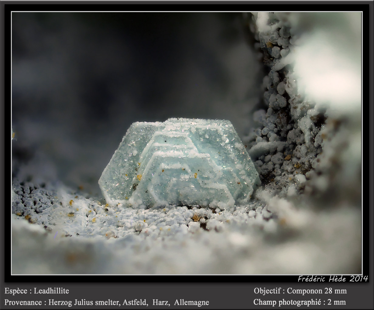 Leadhillite
Fov 2 mm
(Autor: ploum)
