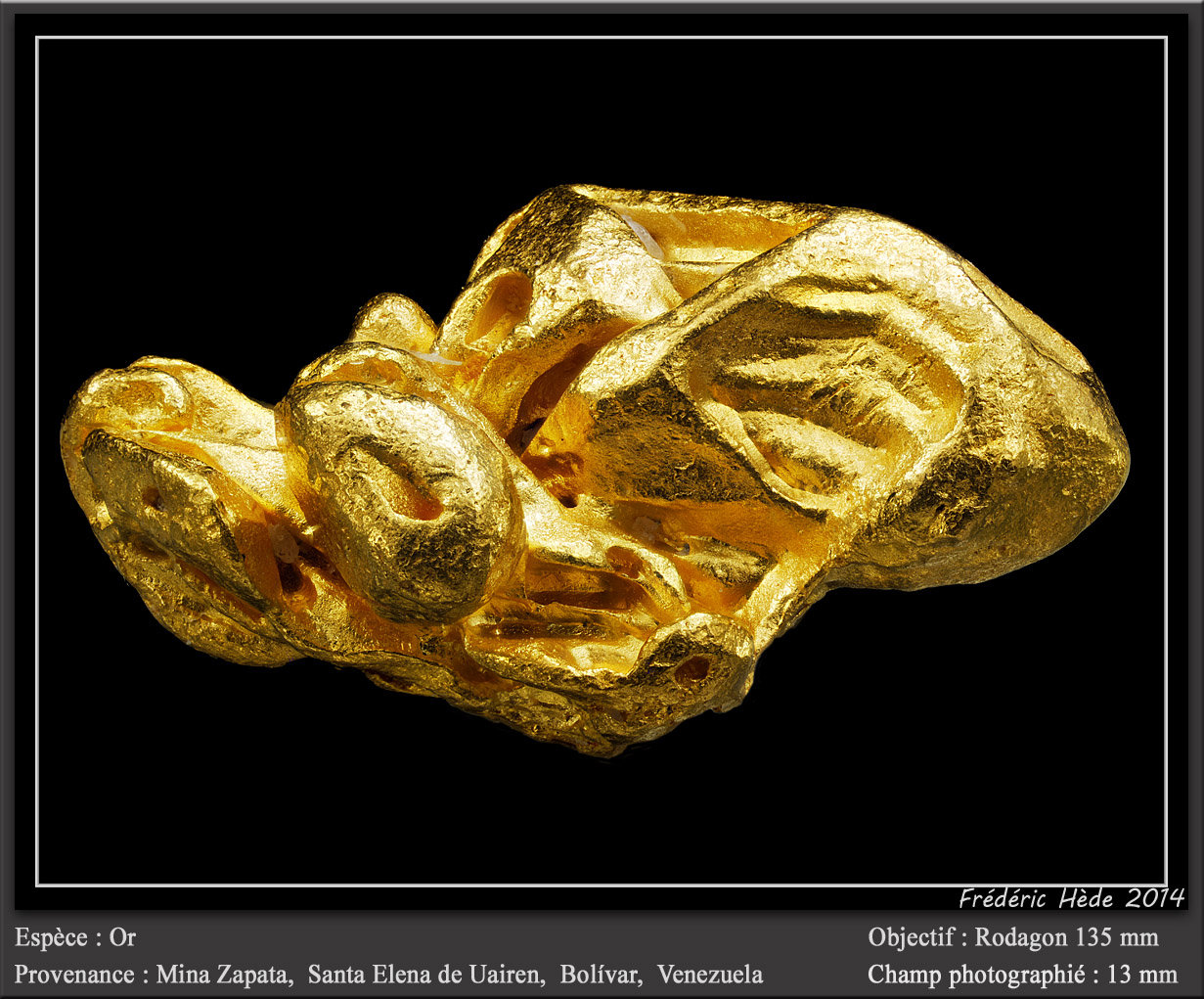 Gold
fov 13 mm
(Autor: ploum)